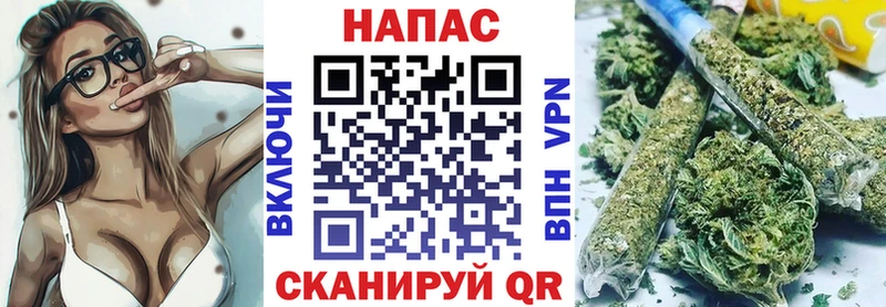 Канабис план Новозыбков